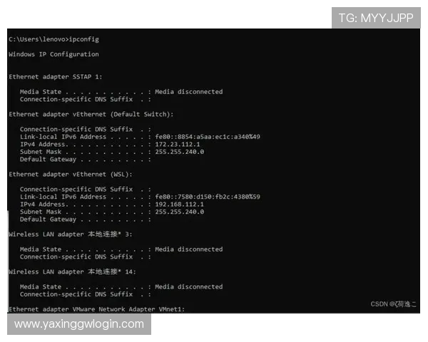 亚星管理平台 cmd3:安全保障措施与数据保护策略分析